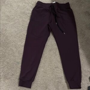 ZYIA Purple Jogger Track Pants